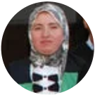 Eman Alaaeldin Abdelfattah